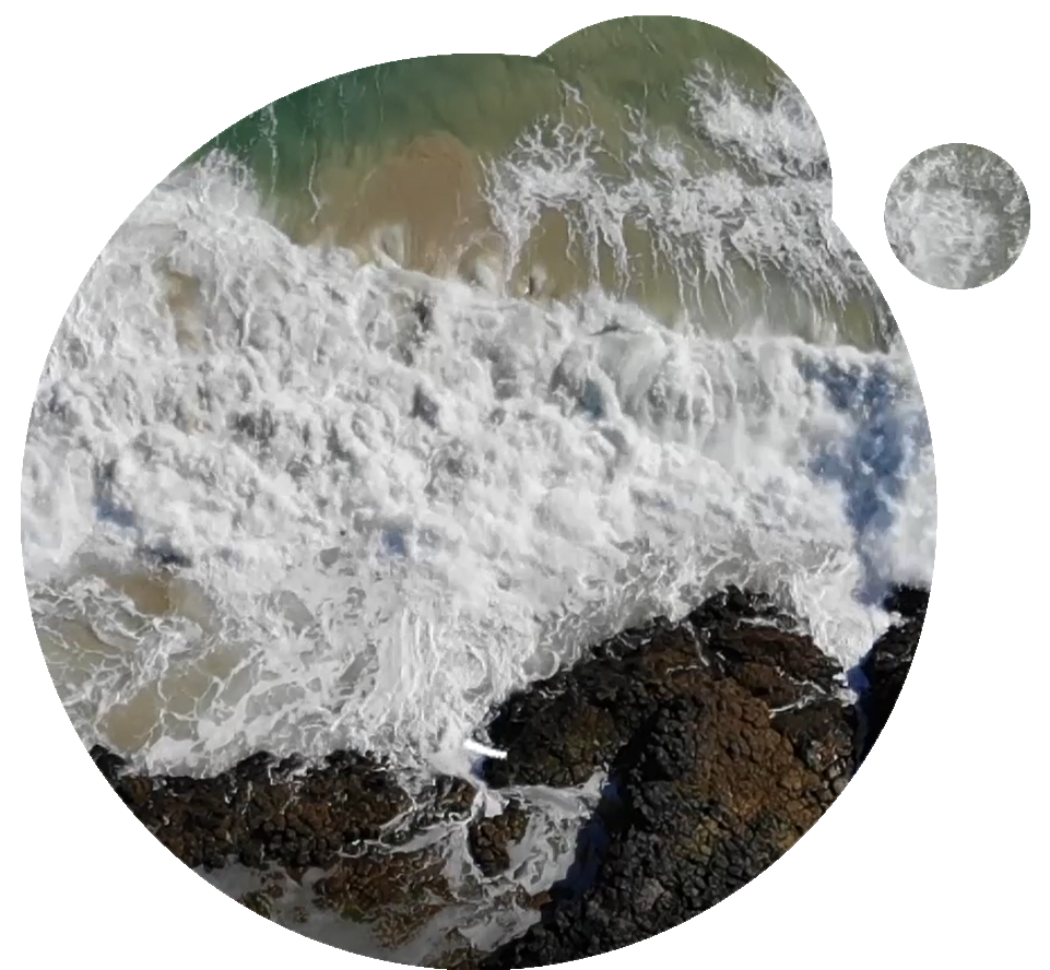 Visual Stock Shop Video Collection